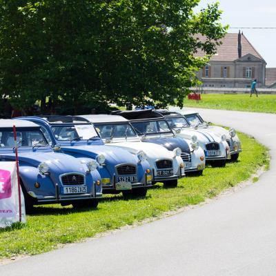 2014_tour_de_france-7160207