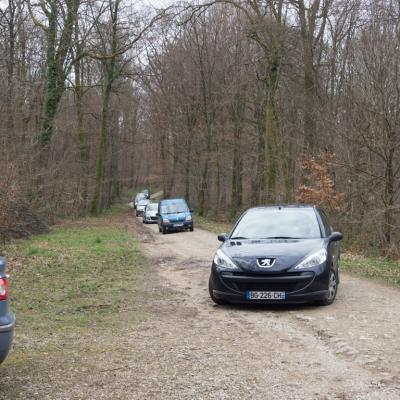 Les mares forestières et la voie romaine