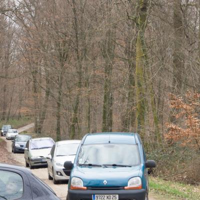 Les mares forestières et la voie romaine