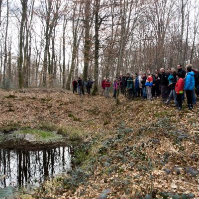 Les mares forestières et la voie romaine