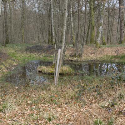 Les mares forestières et la voie romaine