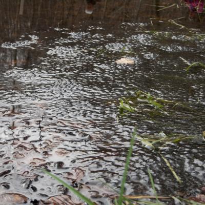 Les mares forestières et la voie romaine