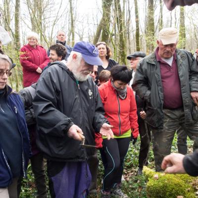 Les mares forestières et la voie romaine