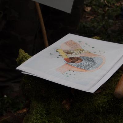 Les mares forestières et la voie romaine