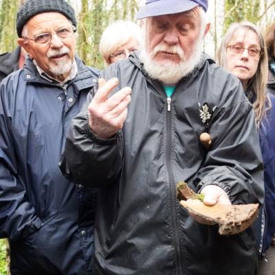Les mares forestières et la voie romaine