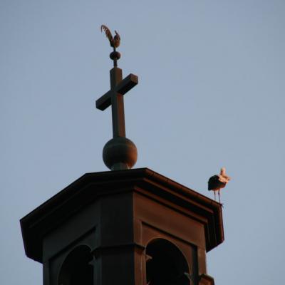 Les cigognes sont arrivées!