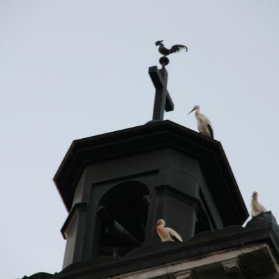 Les cigognes sont arrivées!