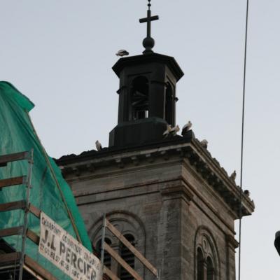 Les cigognes sont arrivées!
