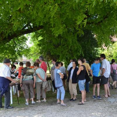 Visite du moulin - 2014 -