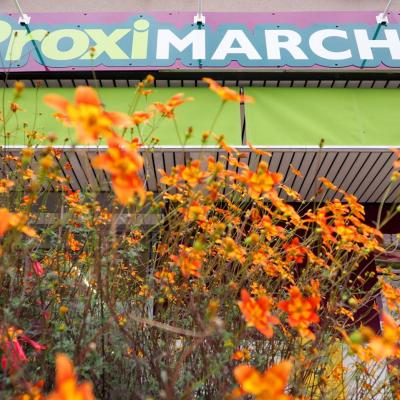 ProxiMarché Liesle 2014