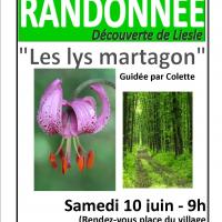 Affiche randonnee lys martagon 17